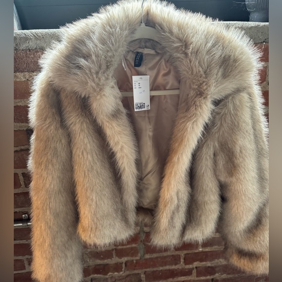 H&M Brown Faux Fur Coat (this season) - Picture 2 of 5